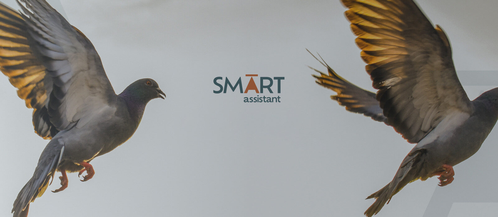 smart assistant homepage banner